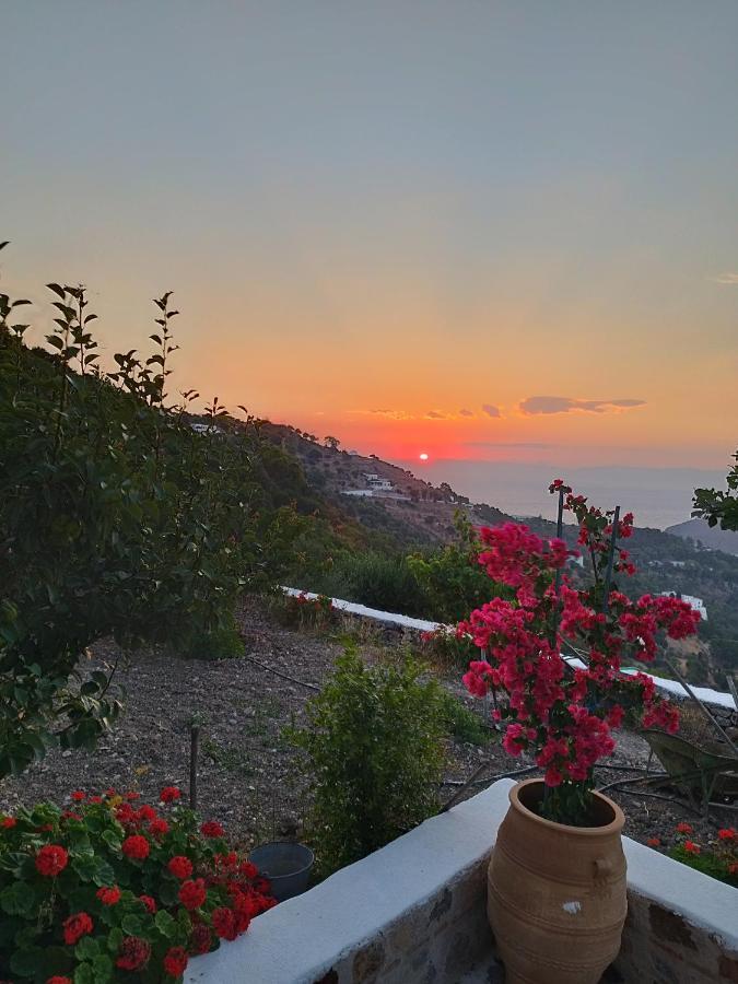 Traditional Studio Chora Patmos Dış mekan fotoğraf